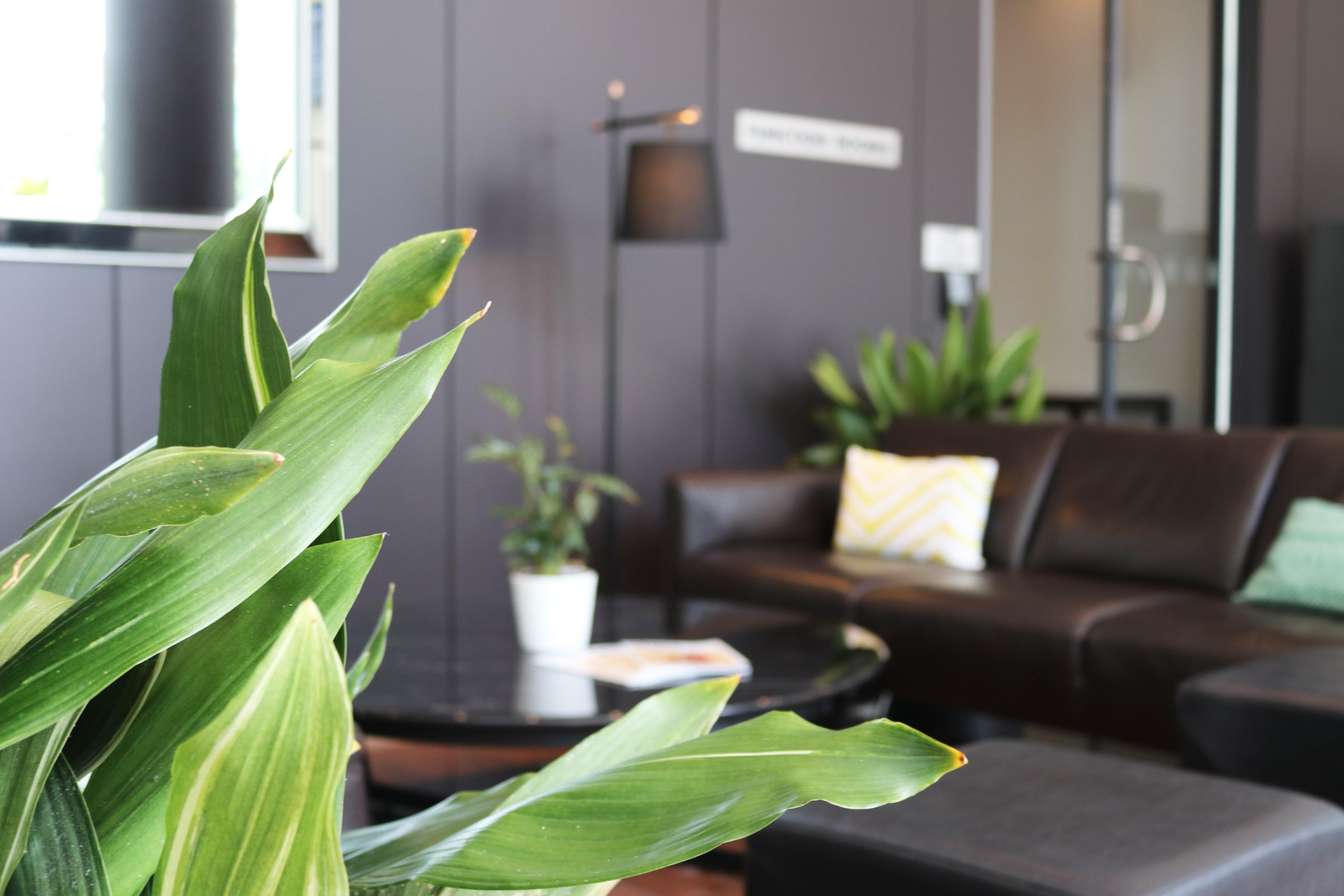 Crowne Plaza Sydney Airport By Ihg Otel Dış mekan fotoğraf